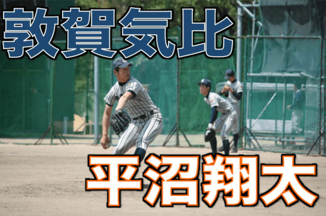 敦賀気比　平沼翔太選手タオル　新品未開封 2025年最新】敦賀気比 タオルの人気アイテム - メルカリ