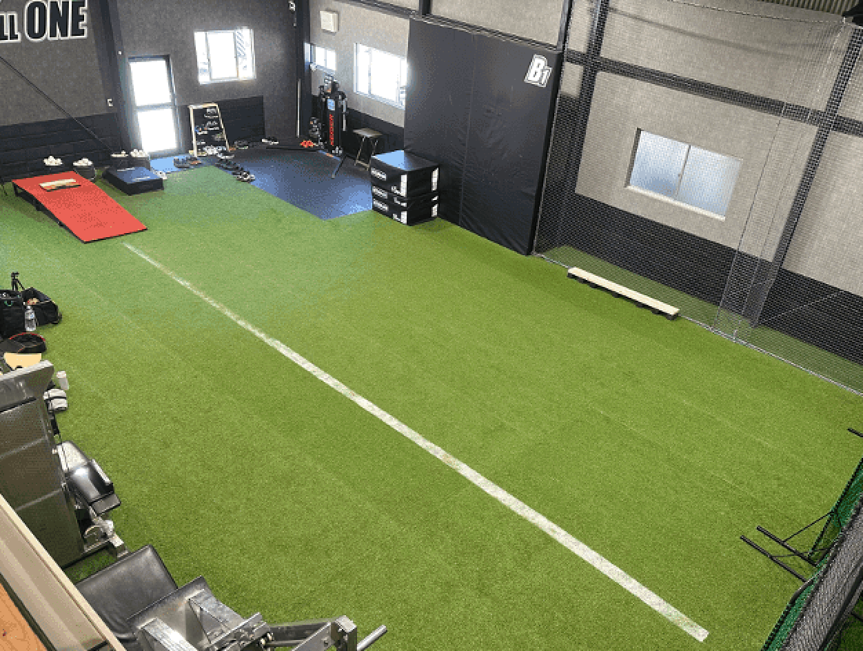 Pitching LAB
